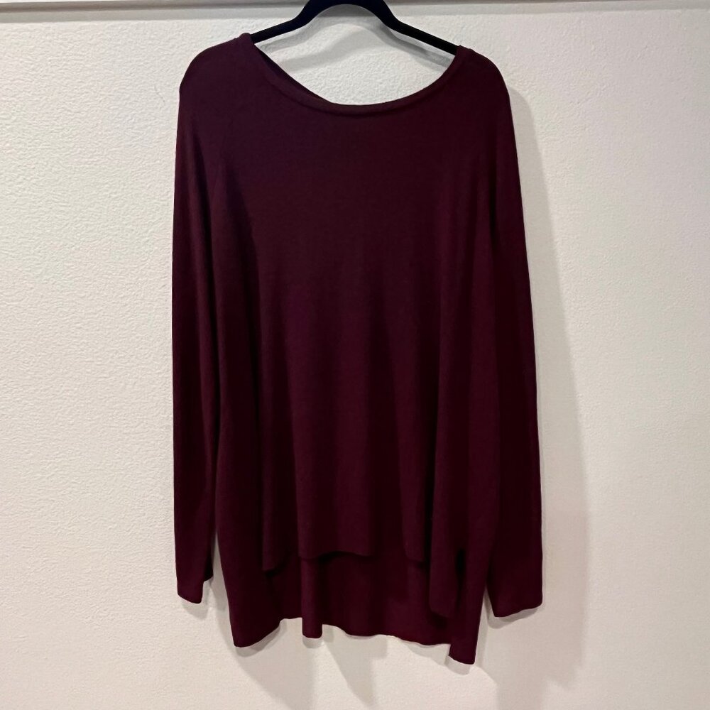American Eagle Outfitters Soft & Sexy Plush Sweater